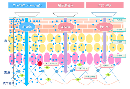 エレクトロポレーションとは