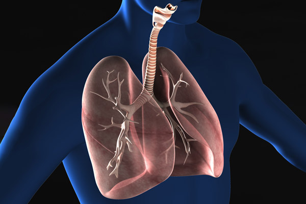 COPD (肺気腫/慢性気管支炎)